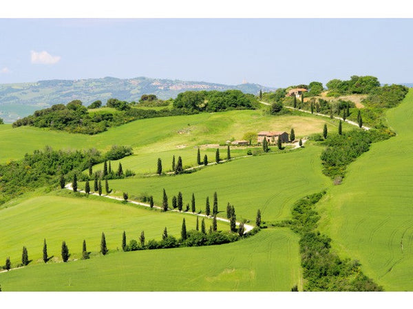 Nesti Dante Tuscany Soaps