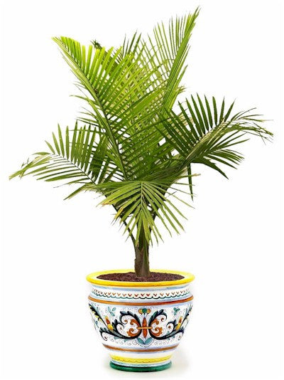 RICCO DERUTA DELUXE: Luxury Cachepot Planter LARGE