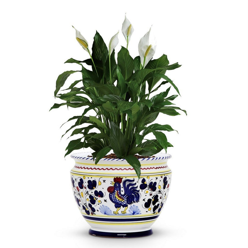 ORVIETO BLUE ROOSTER: Luxury Cachepot Planter Small