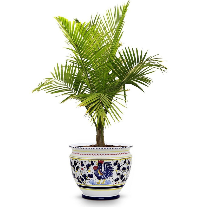 ORVIETO BLUE ROOSTER: Luxury Cachepot Planter Large